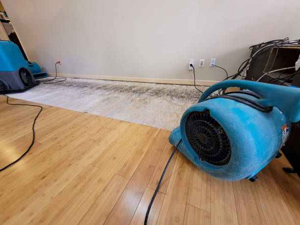 Professional Basement Flood Cleanup technician working in Sturgeon Lake, MN